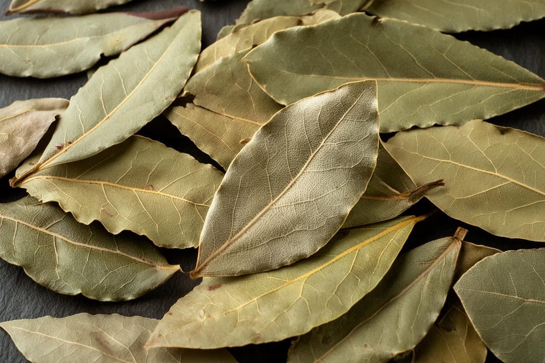 Liść Laurowy: Tajemnica Głębokiego Smaku i Tradycyjnej Kuchni