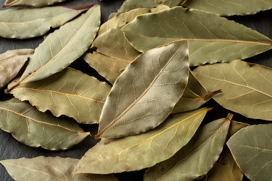 Liść Laurowy: Tajemnica Głębokiego Smaku i Tradycyjnej Kuchni