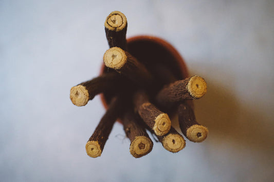 Laski lukrecji (Kalabria) - 15g