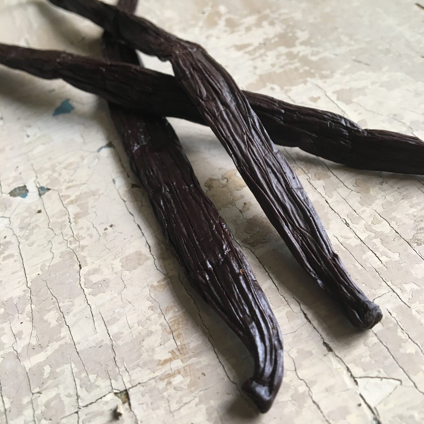 Wanilia Tahitensis (Tahiti) - 5g